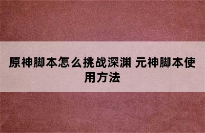 原神脚本怎么挑战深渊 元神脚本使用方法